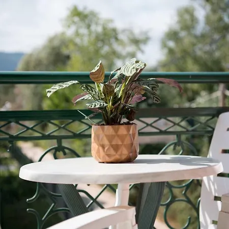 Spira & In The Heart Of * Laganas